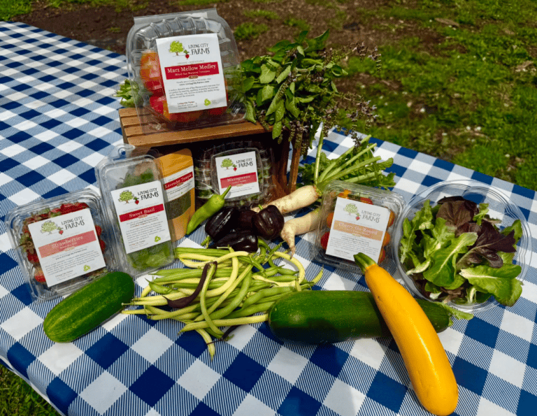 Living City Farms Newsletter July 20th 2026 CSA week 7