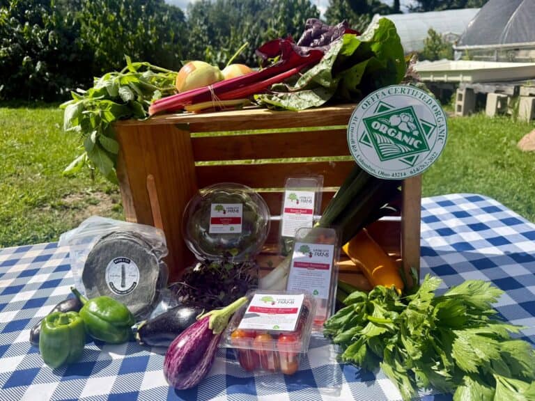 Living City Farms Newsletter August 24th 2026 CSA week 12