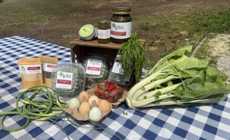 Living City Farms Newsletter June 8th 2026 CSA week 1