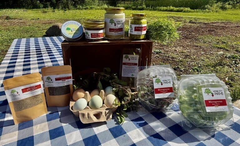Living City Farms Newsletter June 15th 2026 CSA week 2