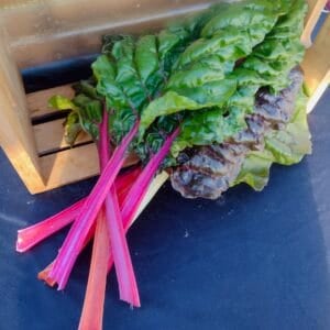 Swiss Chard