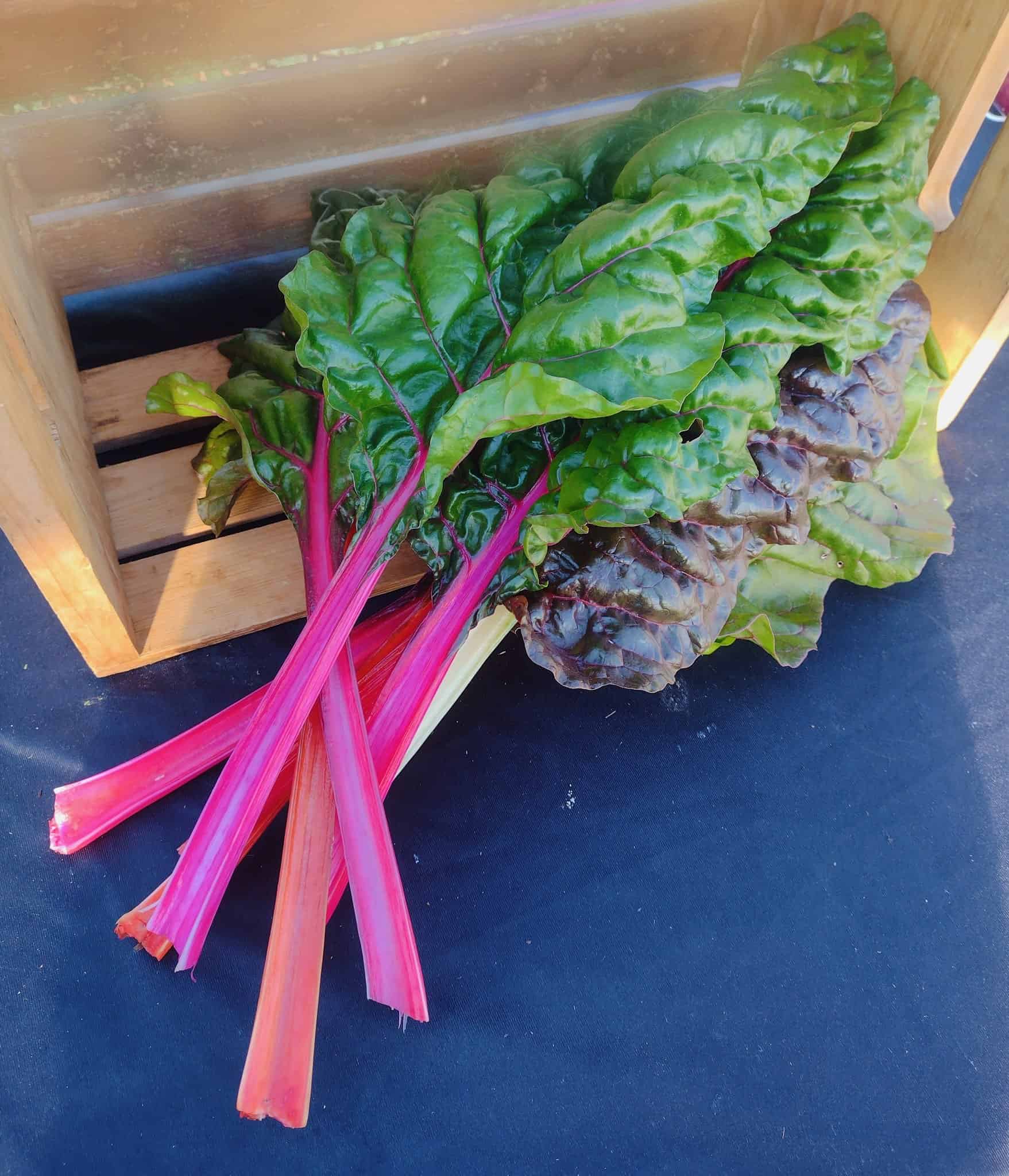 Swiss Chard