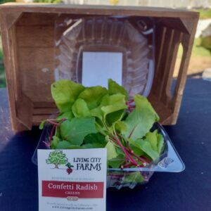 Confetti Radish Greens'