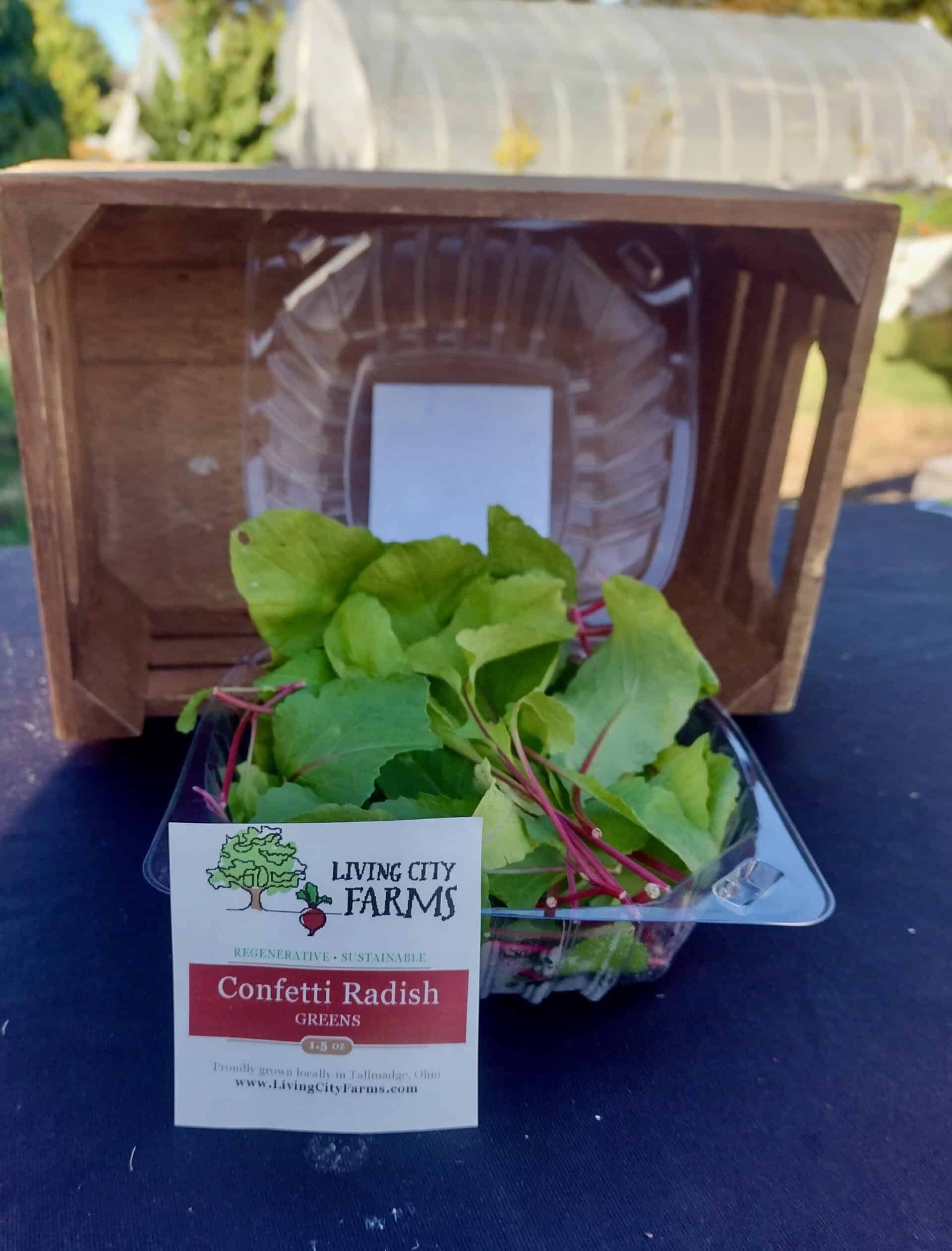 Confetti Radish Greens'