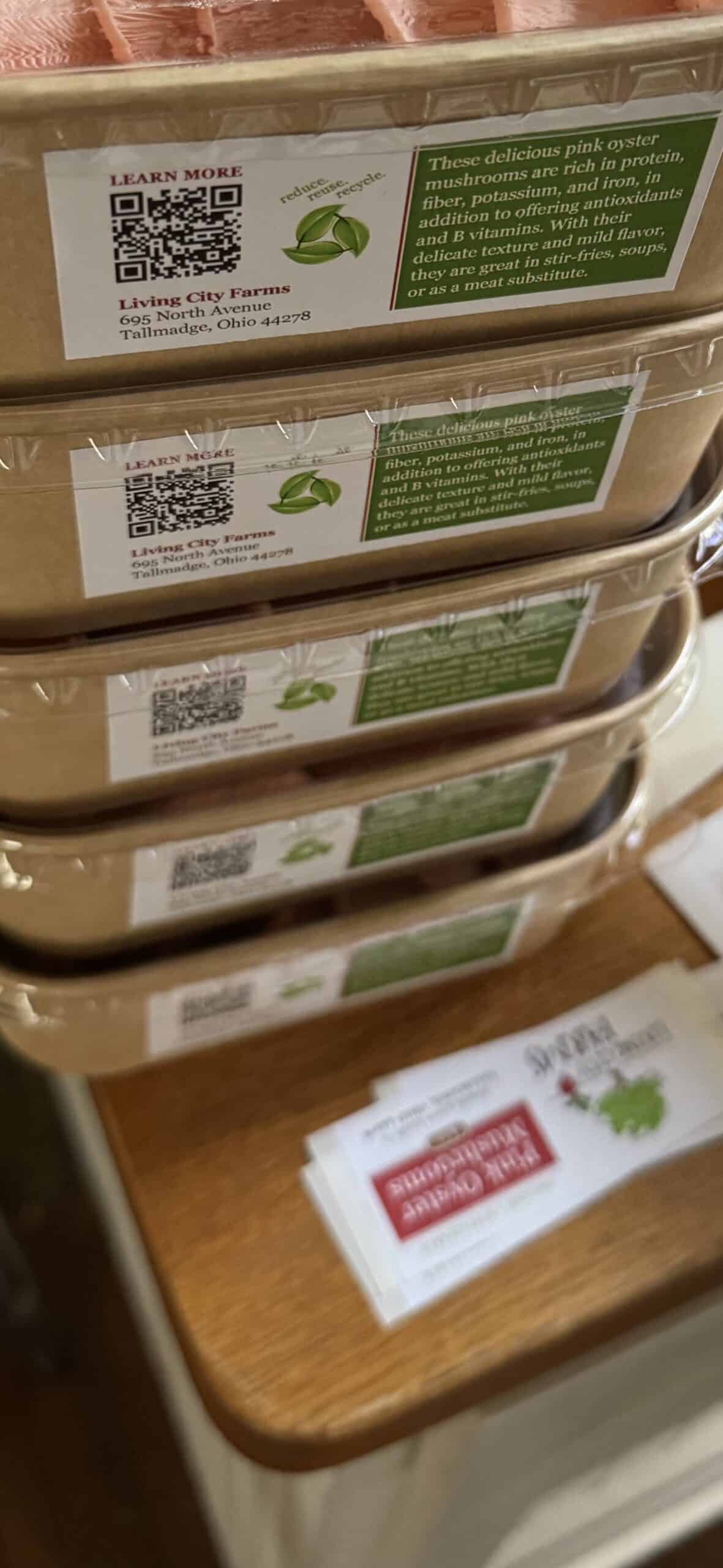 Pink Oyster Mushrooms - Image 2