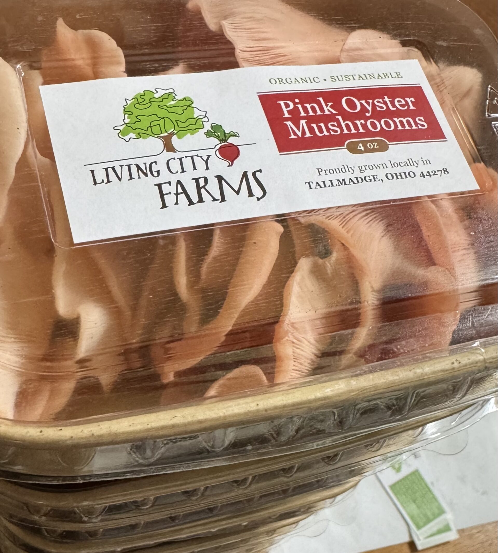 Pink Oyster Mushrooms