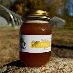Tallmadge Gold Honey 16oz