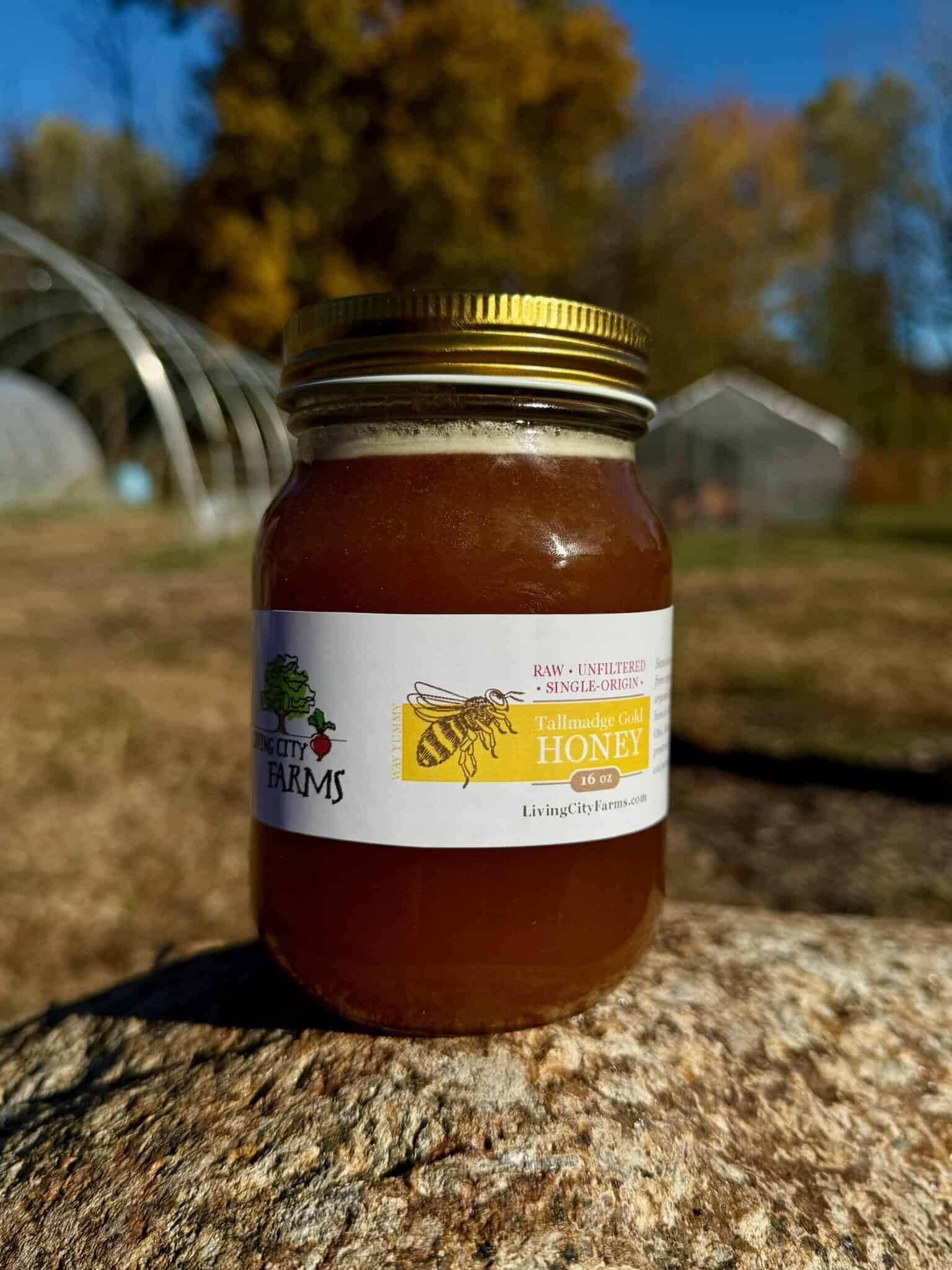 Tallmadge Gold Honey 16oz