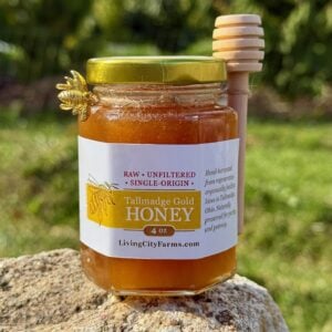 Tallmadge Gold Honey 4oz