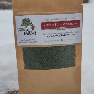 Verdant Pulse Wheatgrass