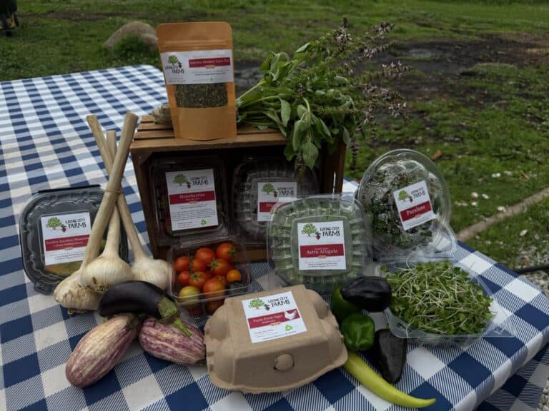 Living City Farms Newsletter July 6th 2026 CSA week 5