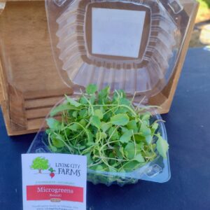 Broccoli Microgreens