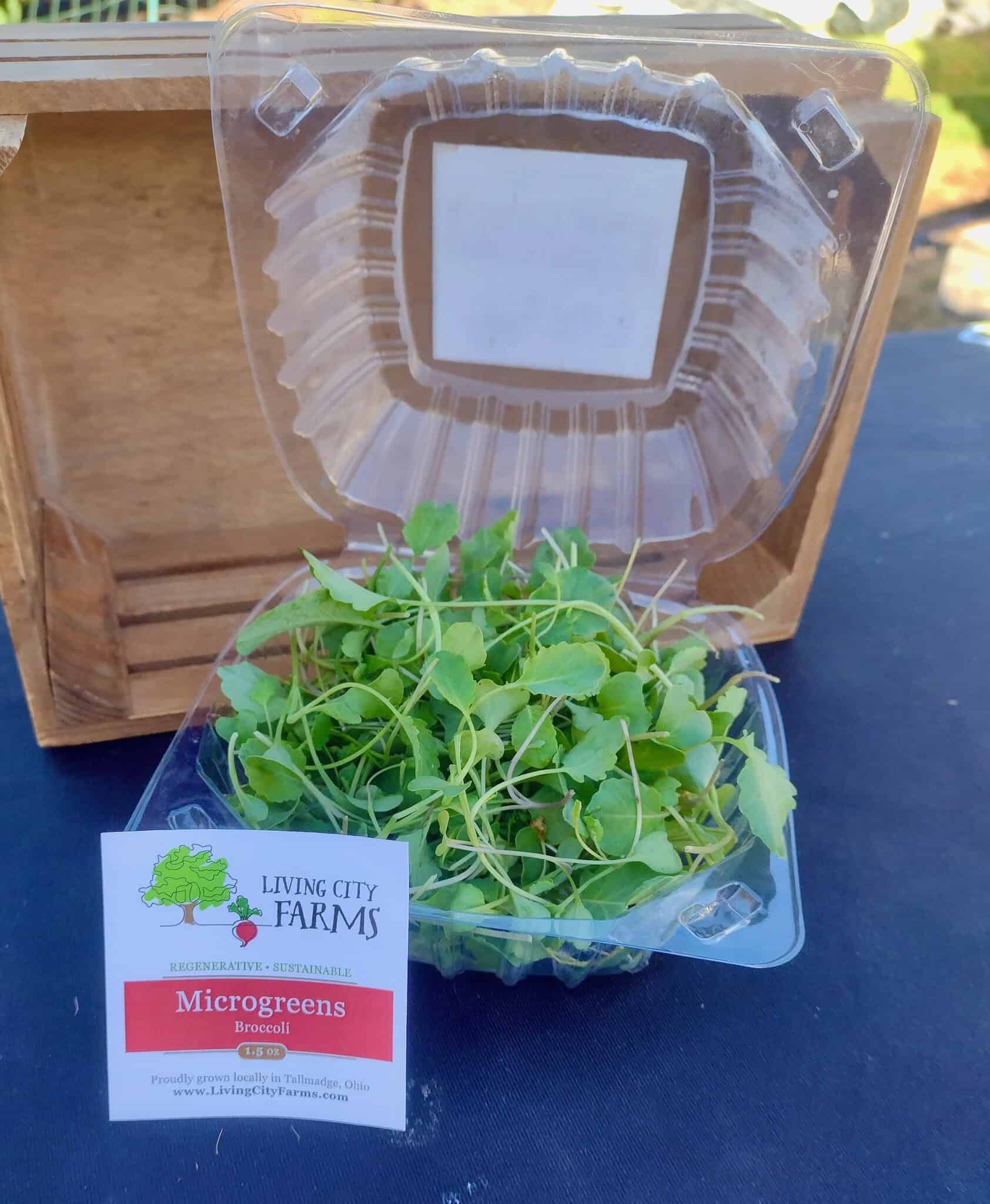 Broccoli Microgreens
