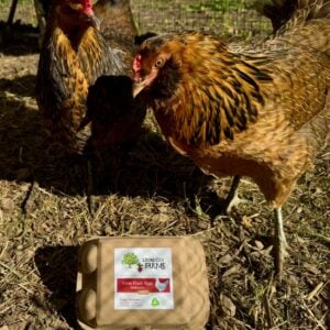 Farm Fresh Eggs (multicolor)