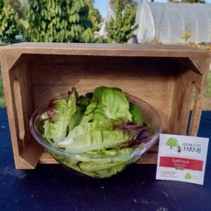Spring Mix Lettuce Bowl