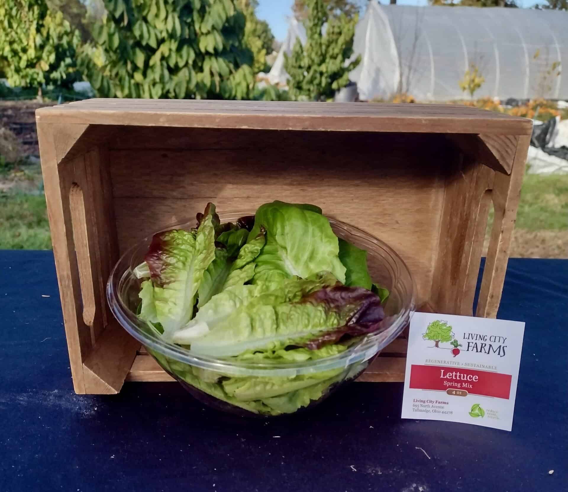Spring Mix Lettuce Bowl