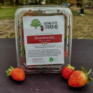 Strawberries, Mara Des Bois