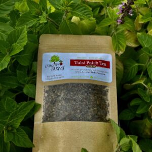 Tulsi Patch Tea