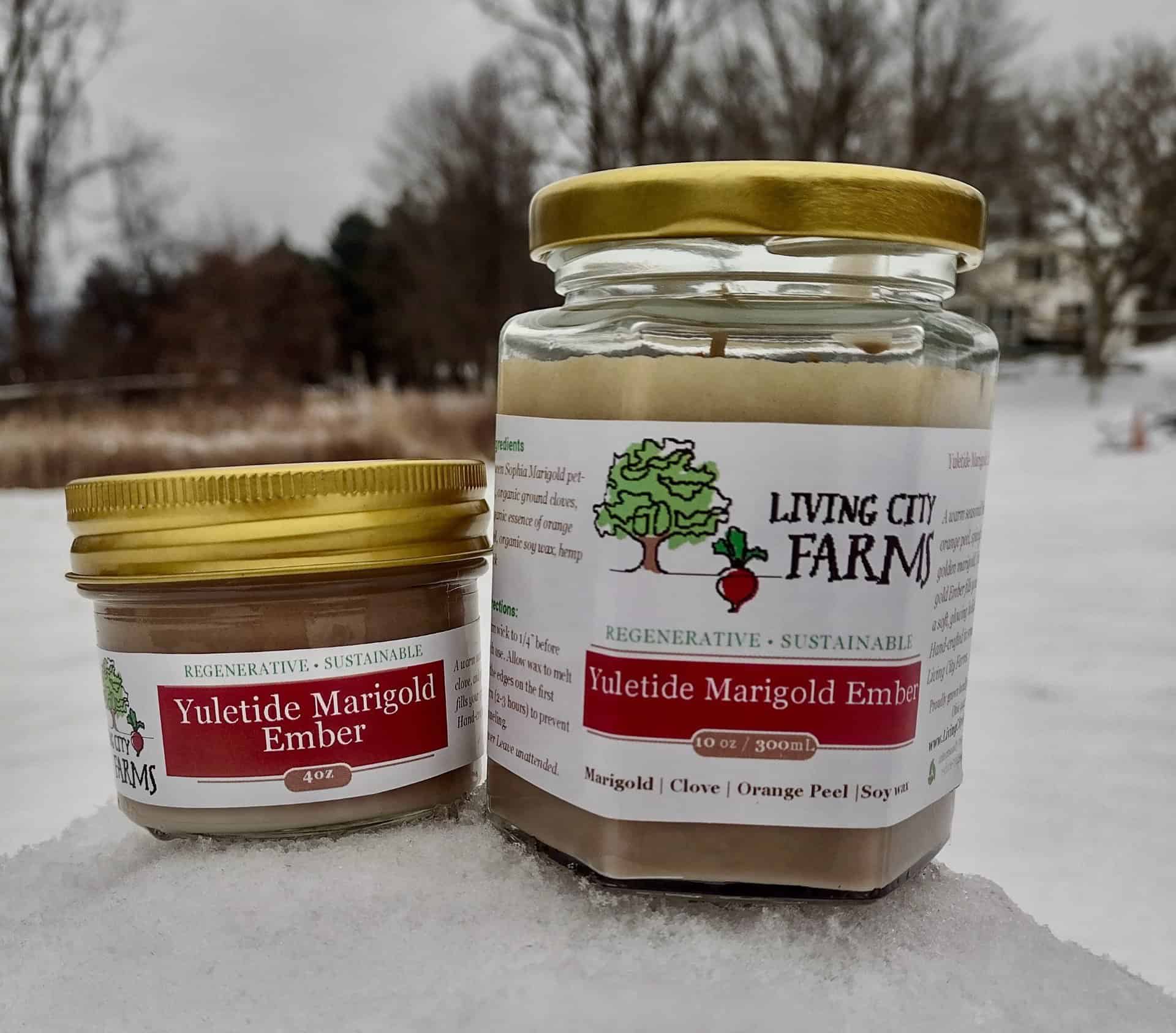 Yuletide Marigold Ember Candle, 10oz - Image 2