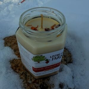 Yuletide Marigold Ember Candle, 10oz