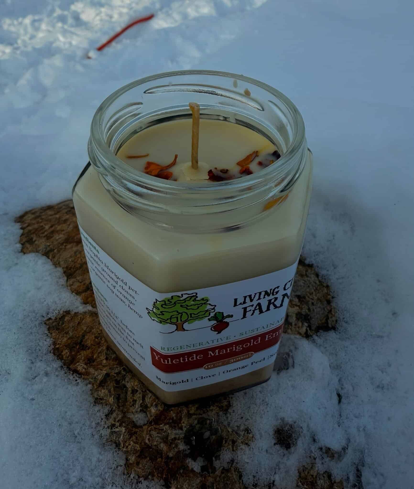 Yuletide Marigold Ember Candle, 10oz